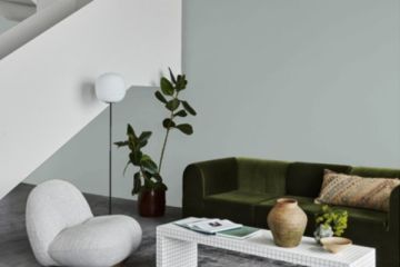 Tender Green 6351 Zen Serisi Zen