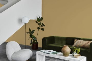Limon Küfü 288 Zen Serisi Zen 2.25 LT