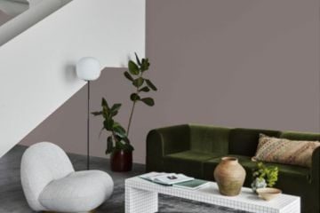 Wisdom 20145 Zen Serisi Zen 2.25 LT